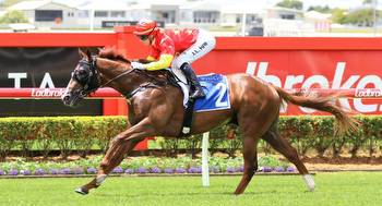 Sovereign Fund aiming to top the Magic Millions Classic
