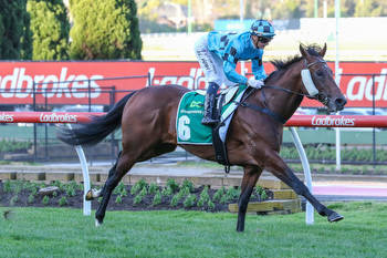 Spear Chief Handicap horses out to stake Stradbroke claims