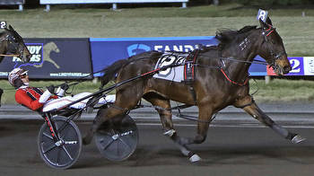 Speedy Art Major mare wins with Dexter Dunn