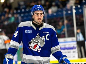 Spitfires trade 11 draft picks to get Wolves' captain Holmes and Generals' leading scorer Harrison