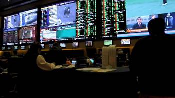 Sports betting a troubling trend for fans, experts