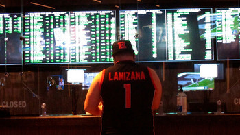 Sports betting industry just 'in the middle innings' of its explosive growth, experts say