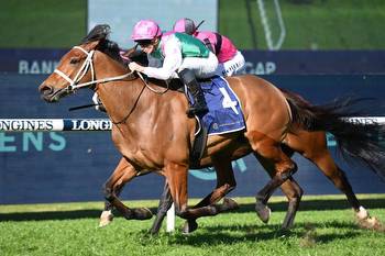 Spot in Melbourne Cup field on the line in the Lexus Archer Stakes