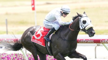 Spotlight On Profit Opportunities From Cranbourne Cup Day