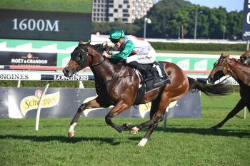 Spring Champion Stakes Big Bets, Odds and Best Backed Horses