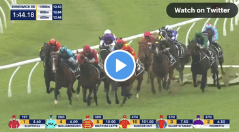 Spring Champion Stakes results and replay
