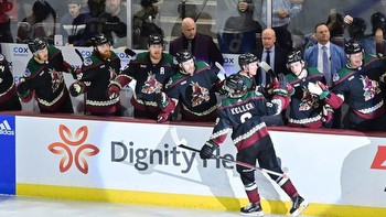 St. Louis Blues vs. Arizona Coyotes odds, tips and betting trends