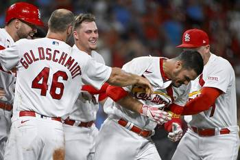 St. Louis Cardinals vs Miami Marlins Prediction 7-19-23 MLB Picks