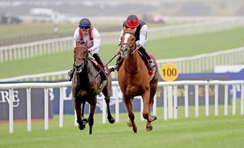 St Simon target for Irish Leger runner-up Hamish