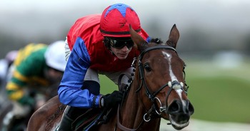 St Stephen's Day horse racing tips for Leopardstown, Limerick and Down Royal
