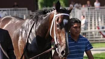 Stackin’ Cheddar: Looking Back on Hall of Famer Rachel Alexandra’s First Win