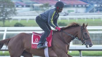 Stage set for Breeders' Stakes at Woodbine