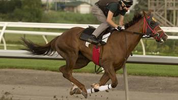 Stakes plays for Woodbine on Sept. 12