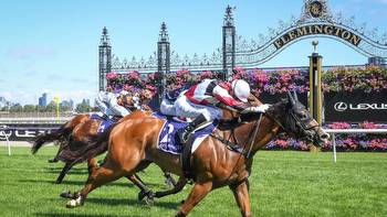 Standish Handicap: Form experts divided on Group 3 sprint at Flemington