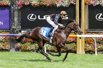 Star sprinter Benedetta short odds in the Cockram Stakes