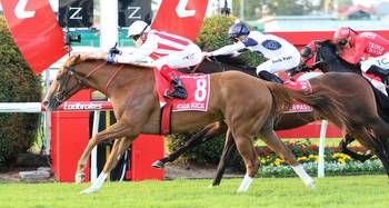 Star sprinter Giga Kick heads early odds in The Everest