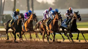 Starlet Stakes (Los Alamitos) Predictions, Best Bets, Odds