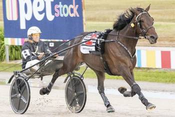 Stars Bolt For Brilliance and Expensive Ego shine in Inter Dominion finals