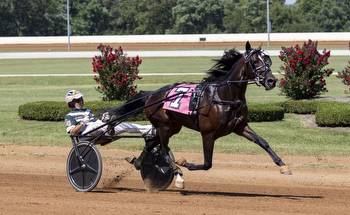 Stars to shine under the lights at Red Mile