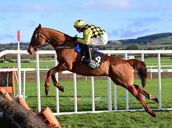 State Man Champion Hurdle Odds: In-Form Gelding Priced At 3/1