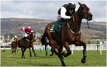Stayers' Hurdle runners guide to Thursday's 3.30 at Cheltenham