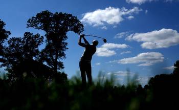 Steve Palmer's 3M Open predictions and free golf betting tips
