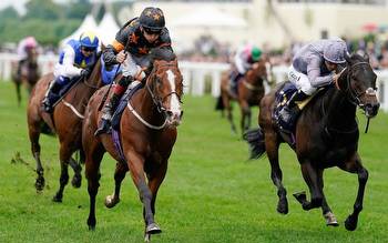 Stewards’ Cup 2021 odds and tips: back this Goodwood lover