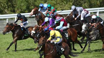 Stewards' Cup COMPLETE runner-by-runner guide and Templegate 16-1 tip for 28-RUNNER blockbuster at Goodwood on Saturday