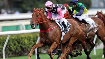 Stewards Cup Tips for Trifecta & First Four