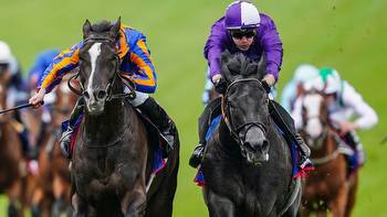 Stott faith in King Of Steel ahead of King George VI And Queen Elizabeth Stakes