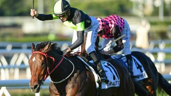 Stradbroke Handicap day: Eagle Farm tips, late mail