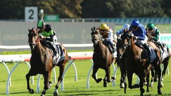 Stradbroke Handicap hope a standout bet on Gosford card