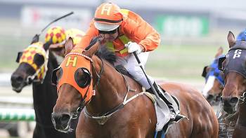 Stradbroke punters rally for cult hero Big H