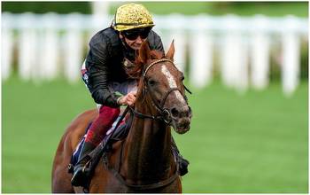 Stradivarius retires: How much prize money did he win?