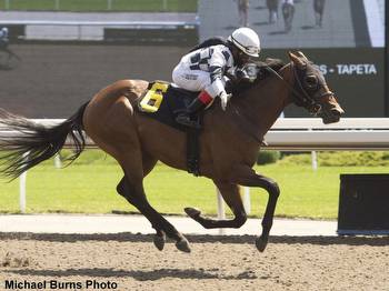 'Strong Will To Compete': Awesome Bourbon Tops Juvenile Entries For Woodbine's Bull Page