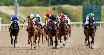 Sunday racing tips and Newsboy nap for fixtures at Chelmsford, Pontefract and Uttoxeter