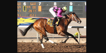 Sunland Derby returns Sunday; race preview