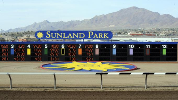 Sunland Park: LaSenora Horse Racing Stakes Picks