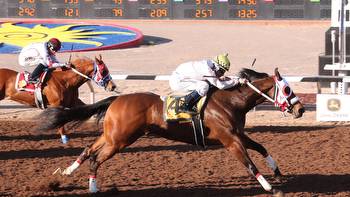 Sunray Park opening weekend stakes races attract big fields