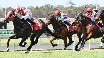 Sunshine Coast horse racing preview, tips and best bets for Friday