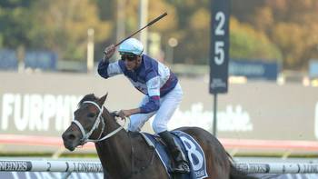 Sunshine Coast preview and tips: Hollindale Stakes day