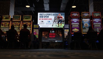 Super Bowl sports betting: How many Americans bet on sports?