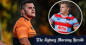 Super Rugby 2023: NSW Waratahs’ loss is Canberra’s gain: Why ACT Brumbies are all over the Schoupp