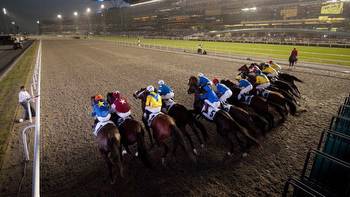 Super Saturday reflections: key pointers to take out for Dubai World Cup night