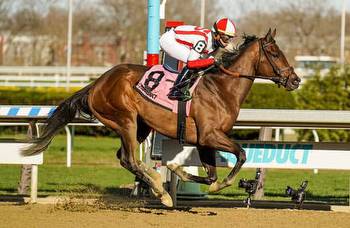 Super Screener: Finding value in the 5-horse Personal Ensign