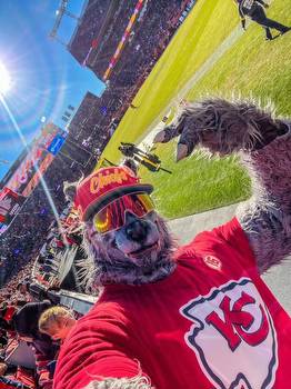 Superfan Charged With Bank Robbery in Line for $100K Payoff on Chiefs