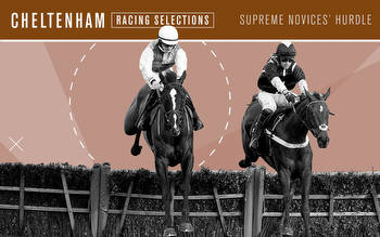 Supreme Novices’ Hurdle tips: 1.30 Cheltenham win and each-way picks