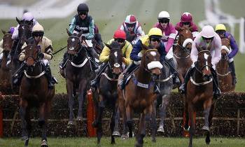 Supreme Novices' Hurdle: What they say