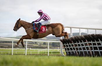 Supreme third Diverge suffered fatal tendon injury at Punchestown festival