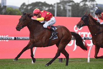 Surf Dancer Expected To Fire In The Gong At Kembla Grange